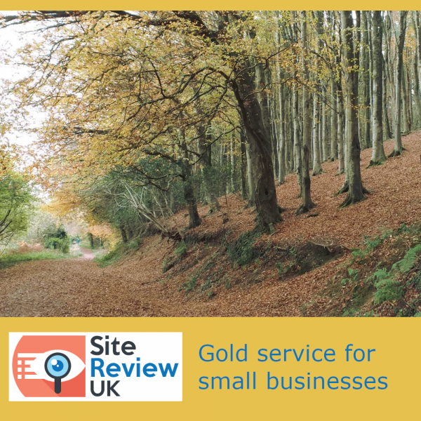 Latest news image. Site Review UK advert: Gold service for small businesses