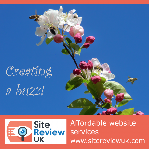 Latest news image. Site Review UK advert: Creating a buzz with our affordable website services