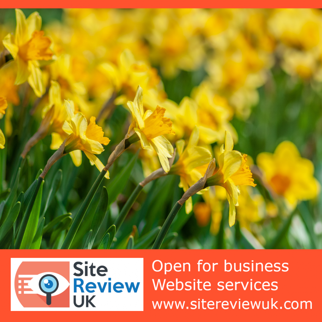 Latest news image. Site Review UK advert: Daffodils open for business.